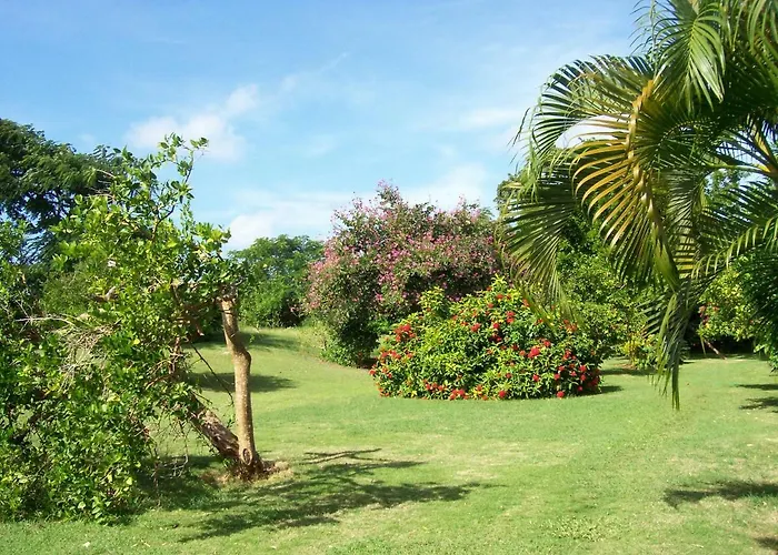 Ocean View Montego Bay Apartment
