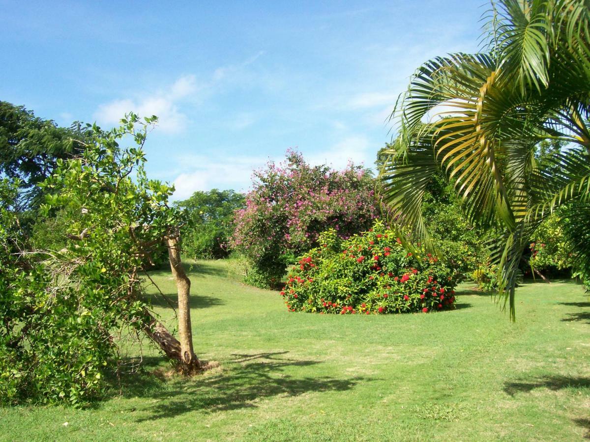 Appartamento Ocean View